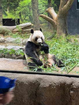 恩賜上野動物園に投稿された画像（2025/8/1）