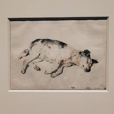 スウェーデン国立美術館　素描コレクション展―ルネサンスからバロックまでに投稿された画像（2025/8/1）