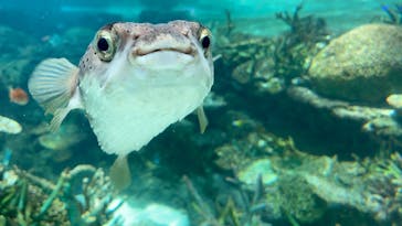 名古屋港水族館に投稿された画像（2025/8/1）
