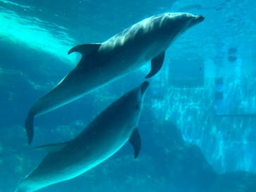名古屋港水族館に投稿された画像（2025/8/1）