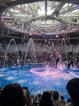 マクセル アクアパーク品川に投稿された画像（2025/8/1）