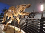 福井県立恐竜博物館に投稿された画像（2025/8/1）