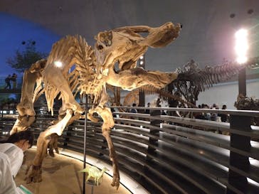 福井県立恐竜博物館に投稿された画像（2025/8/1）