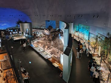 福井県立恐竜博物館に投稿された画像（2025/8/1）