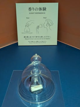 正倉院 THE SHOW －感じる。いま、ここにある奇跡－に投稿された画像（2025/8/1）