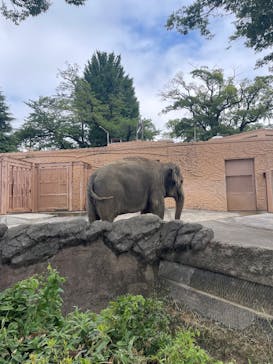 日立市かみね動物園に投稿された画像（2025/8/1）