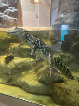 日立市かみね動物園に投稿された画像（2025/8/1）