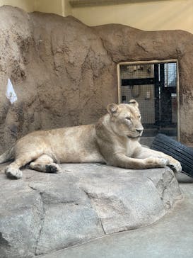 日立市かみね動物園に投稿された画像（2025/8/1）