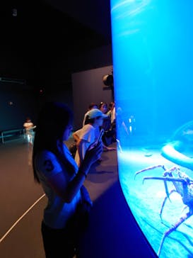 竹島水族館に投稿された画像（2025/8/1）