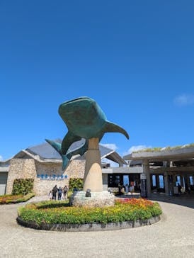 沖縄美ら海水族館に投稿された画像（2025/8/1）
