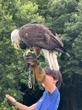 那須どうぶつ王国に投稿された画像（2025/8/1）