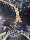 福井県立恐竜博物館に投稿された画像（2025/8/1）