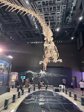 福井県立恐竜博物館に投稿された画像（2025/8/1）