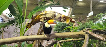 那須どうぶつ王国に投稿された画像（2025/8/1）