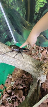 那須どうぶつ王国に投稿された画像（2025/8/1）