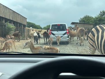 東北サファリパークに投稿された画像（2025/8/1）