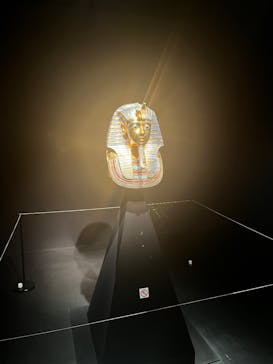 MYSTERY OF TUTANKHAMEN 体感型古代エジプト展に投稿された画像（2025/8/1）