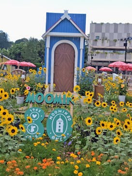 ムーミンバレーパークに投稿された画像（2025/8/1）