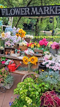 ムーミンバレーパークに投稿された画像（2025/8/1）