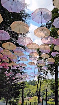 ムーミンバレーパークに投稿された画像（2025/8/1）