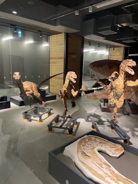 福井県立恐竜博物館に投稿された画像（2025/8/1）