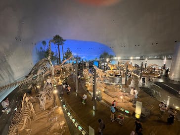 福井県立恐竜博物館に投稿された画像（2025/8/1）