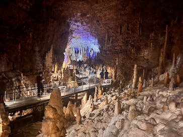 おきなわワールドに投稿された画像（2025/8/1）