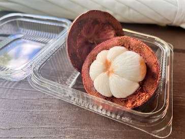 おきなわワールドに投稿された画像（2025/8/1）