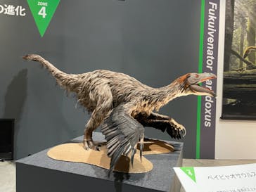 福井県立恐竜博物館に投稿された画像（2025/8/1）