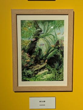 プレバト才能アリ展に投稿された画像（2025/8/2）