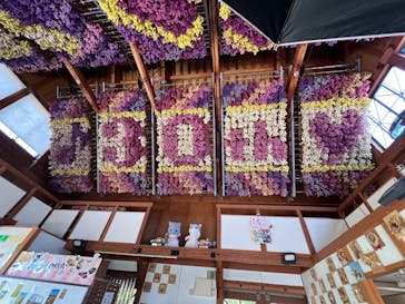 牧歌の里に投稿された画像（2025/8/2）