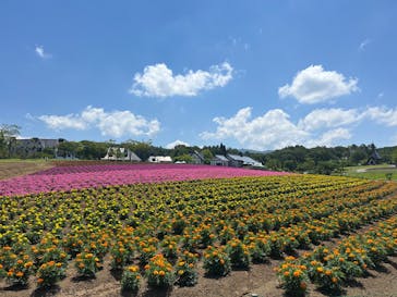 牧歌の里に投稿された画像（2025/8/2）