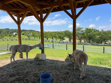 牧歌の里に投稿された画像（2025/8/2）