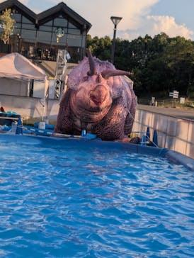 ビバスクエア京都に投稿された画像（2025/8/2）