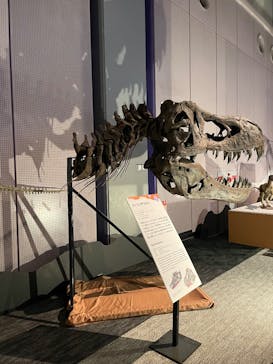 巨大恐竜展2025に投稿された画像（2025/8/2）