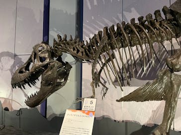 巨大恐竜展2025に投稿された画像（2025/8/2）