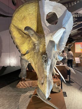 巨大恐竜展2025に投稿された画像（2025/8/2）