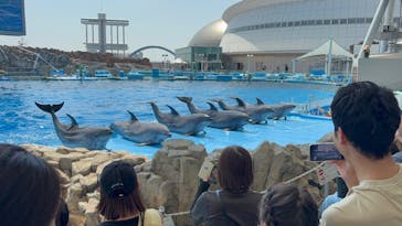 名古屋港水族館に投稿された画像（2025/8/2）