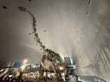 福井県立恐竜博物館に投稿された画像（2025/8/2）