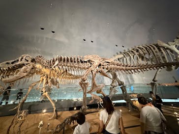 福井県立恐竜博物館に投稿された画像（2025/8/2）