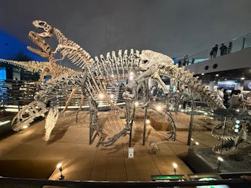 福井県立恐竜博物館に投稿された画像（2025/8/2）