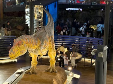 福井県立恐竜博物館に投稿された画像（2025/8/2）