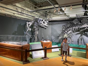 大恐竜展に投稿された画像（2025/8/2）