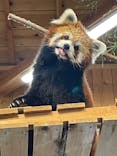 伊豆シャボテン動物公園に投稿された画像（2025/8/2）