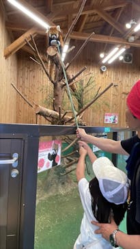 伊豆シャボテン動物公園に投稿された画像（2025/8/2）