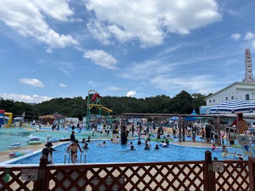 日本モンキーパークに投稿された画像（2025/8/2）