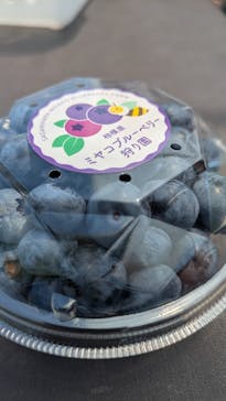 相模原ミヤコブルーベリー狩り園に投稿された画像（2025/8/2）