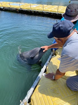 日間賀島ドルフィンビーチに投稿された画像（2025/8/2）