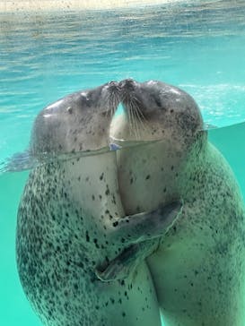 下田海中水族館に投稿された画像（2025/8/2）