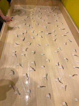 キボリノコンノ展 ＠静岡市清水文化会館マリナートに投稿された画像（2025/8/2）